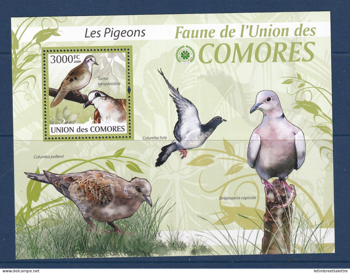 Comores - bloc YT n° 203 ** - Neuf sans charnière - pigeons - oiseaux -  2009