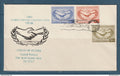 Myanmar - Birmanie - Burma YT n° 104 à 106 FDC premier jour coopération internationale - anniversaire nations unies 1965