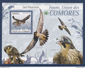 Comores - bloc YT n° 210 ** - Neuf sans charnière - les faucons - oiseaux - 2009