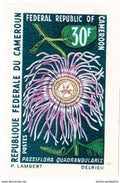 ⭐ Cameroun - Non dentelé - YT n° 481 et 482 ** - Neuf sans charnière ⭐