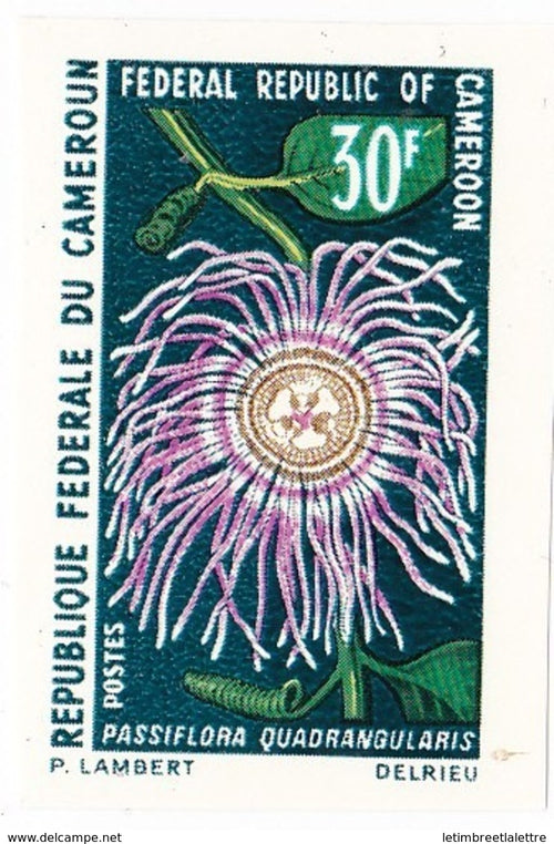 ⭐ Cameroun - Non dentelé - YT n° 481 et 482 ** - Neuf sans charnière ⭐