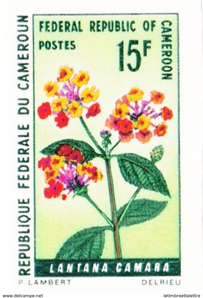 ⭐ Cameroun - Non dentelé - YT n° 481 et 482 ** - Neuf sans charnière ⭐
