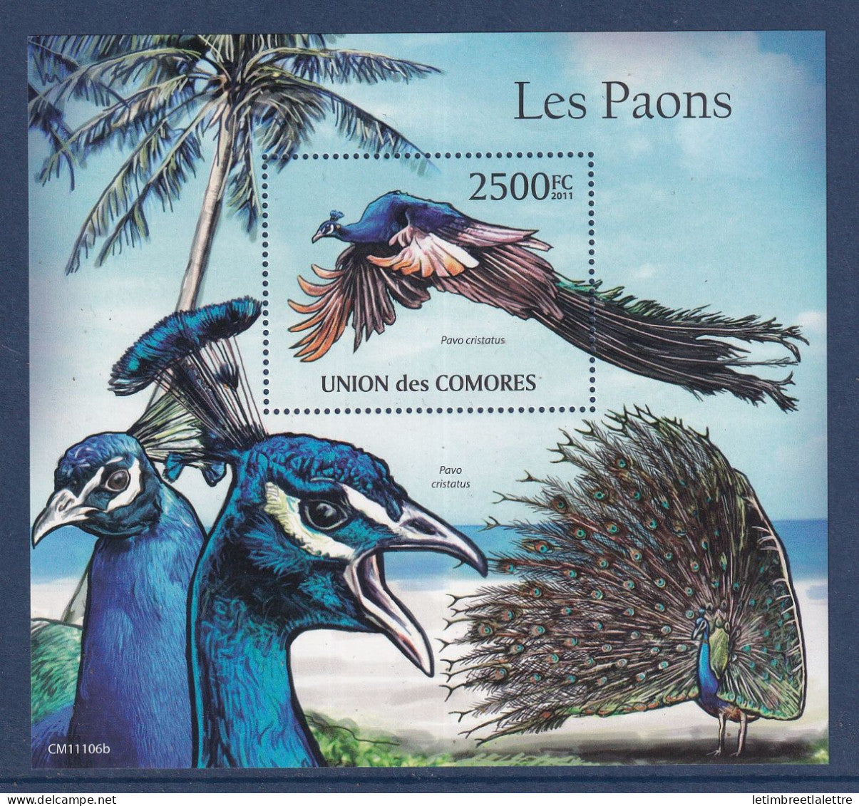 Comores - bloc YT n° 298  ** - Neuf sans charnière - les paons - 2011