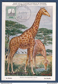 Soudan - Carte Maximum - La girafe - Oblitréré Khartoum - 1954