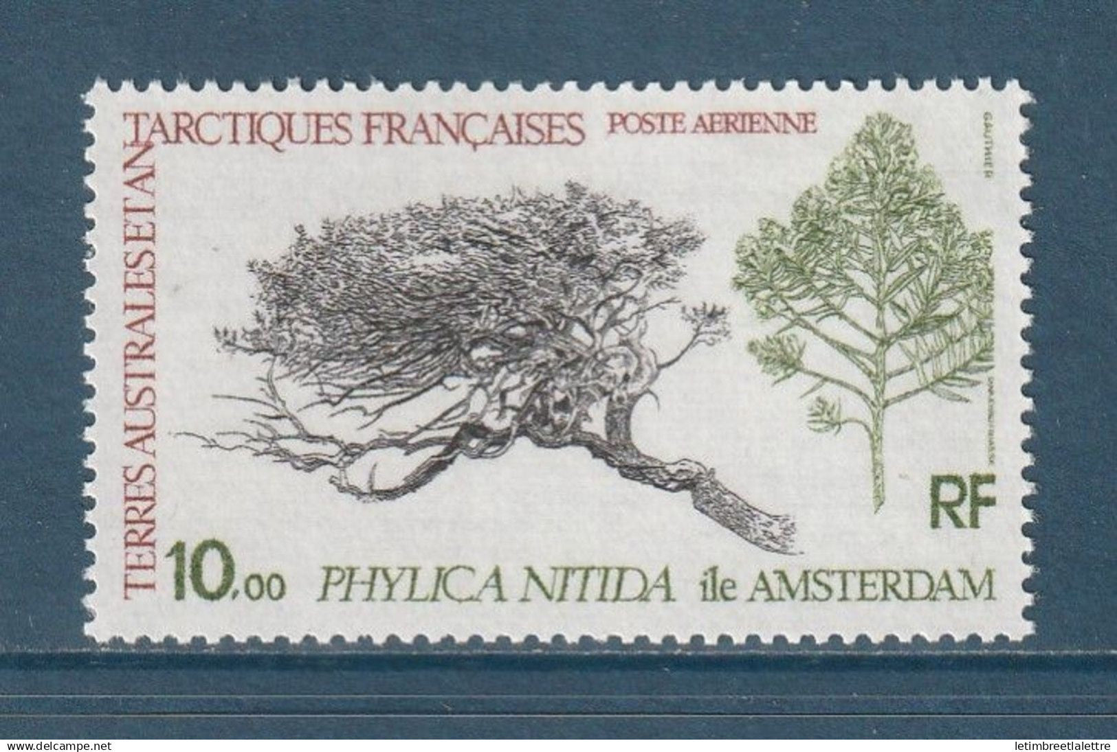 TAAF - Poste Aérienne - YT PA n° 60 ** - Neuf sans charnière - 1979