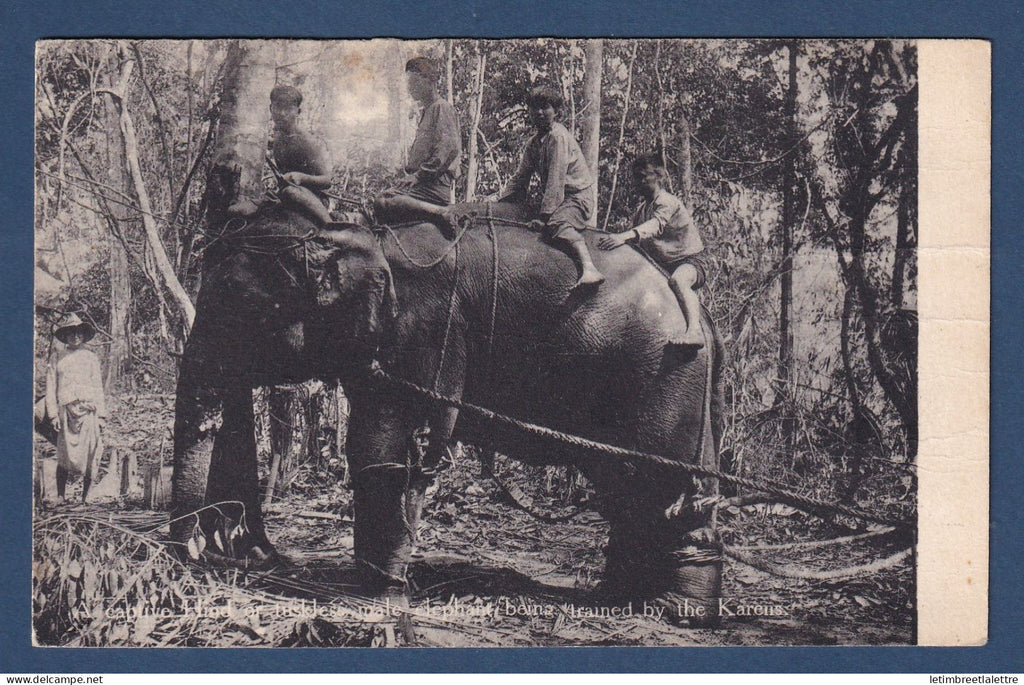 Birmanie - Burma - avec Inde YT n° 76 et 78 sur carte postale pour les Usa - éléphant - 1906