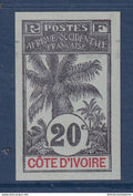 Côte d'Ivoire - YT n° 23 a non dentelé et sans gomme - neuf sans charnière - 1906 / 1907