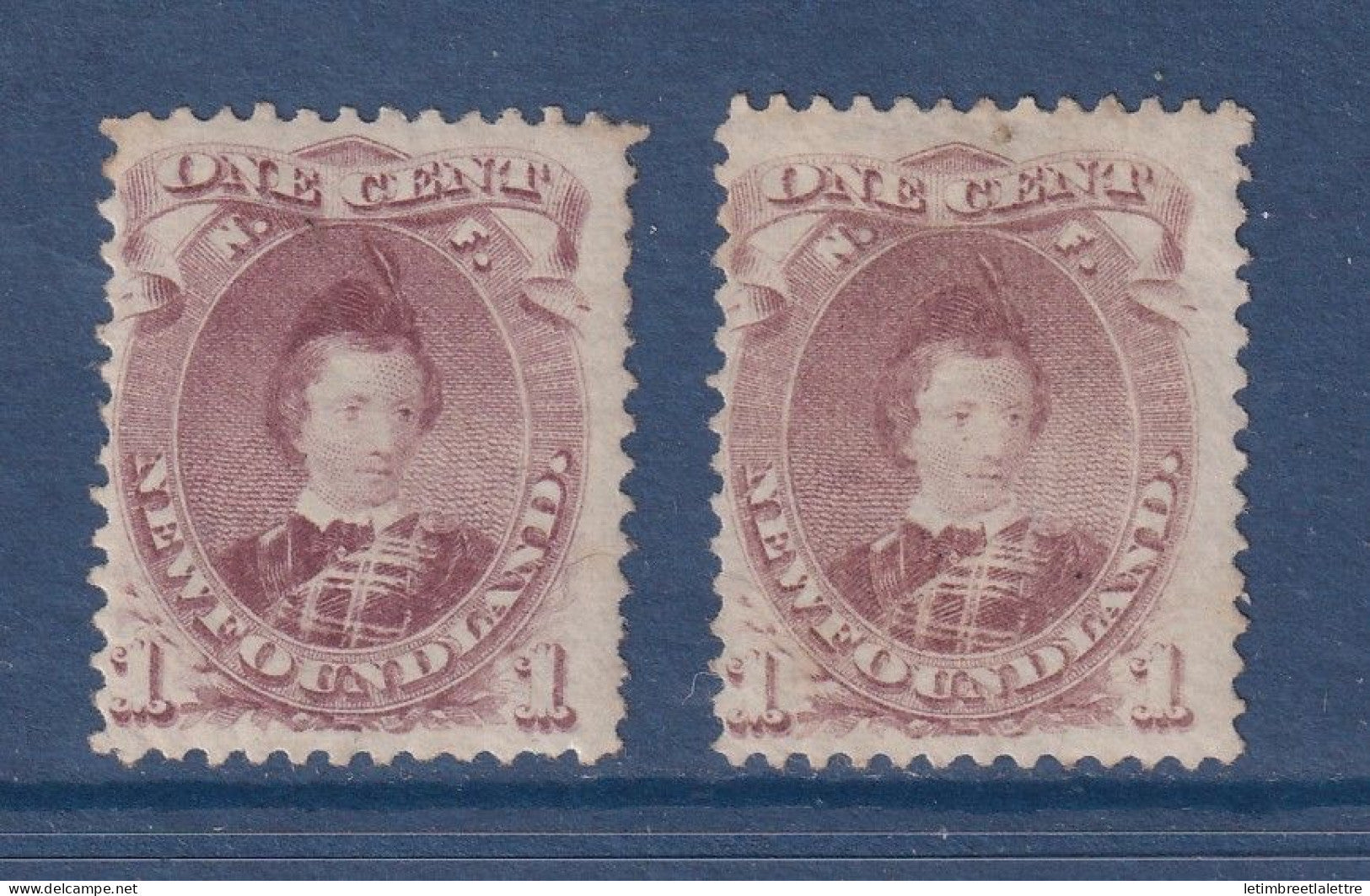 Terre Neuve - YT n° 20 ** et 20 A * - Neuf sans charnière et 20 A avec charnière - 1866 1871