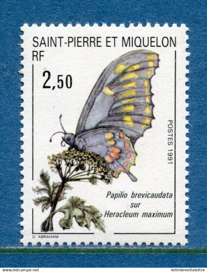 Saint Pierre et Miquelon - YT n° 534 ** - Neuf sans charnière - 1991