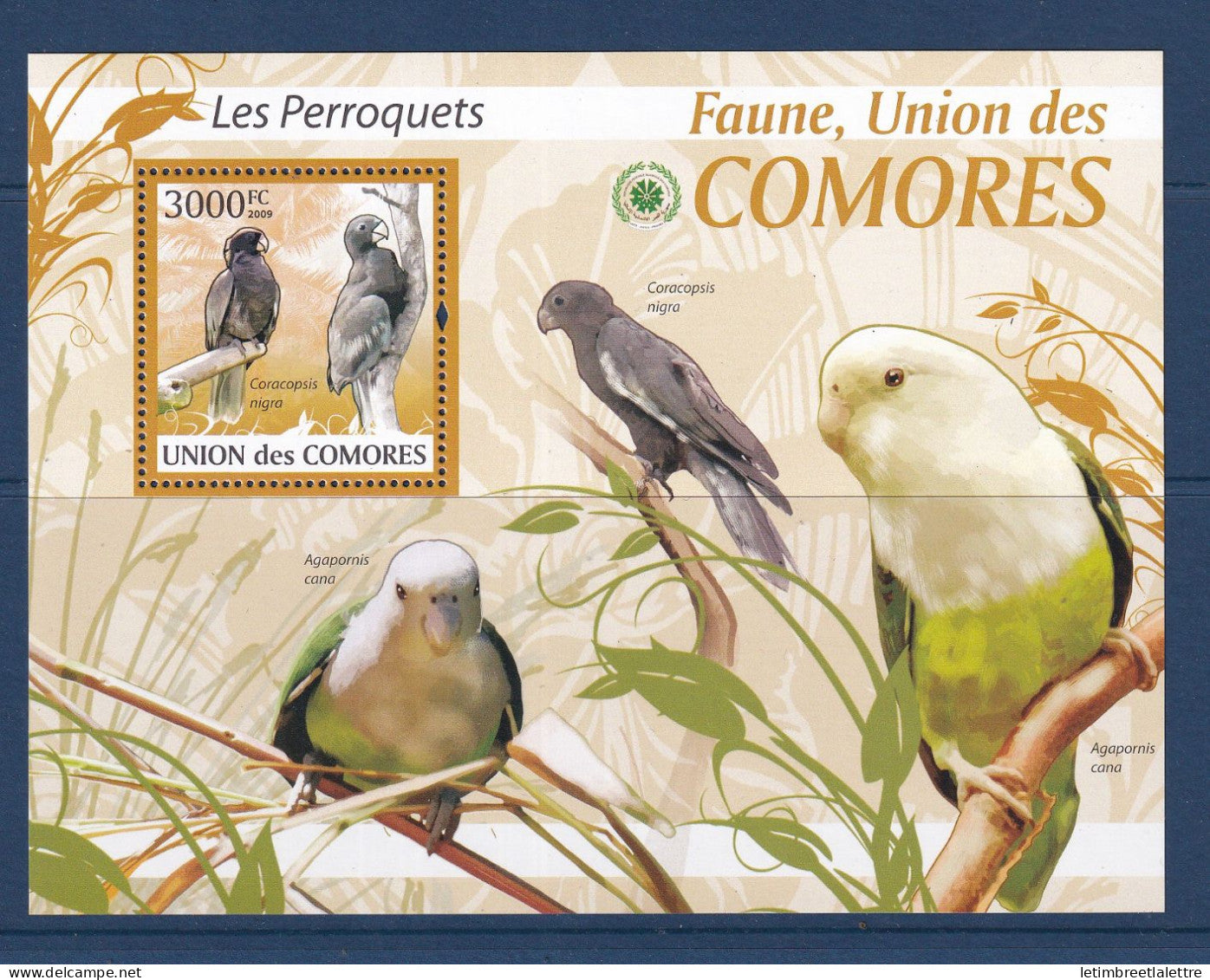 Comores - bloc YT n° 204 ** - Neuf sans charnière - perroquets - oiseaux -  2009