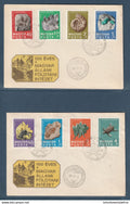 Hongrie - Premier jour - FDC - Budapest - centenaire de l'institut national de géologie - fossile - 1969