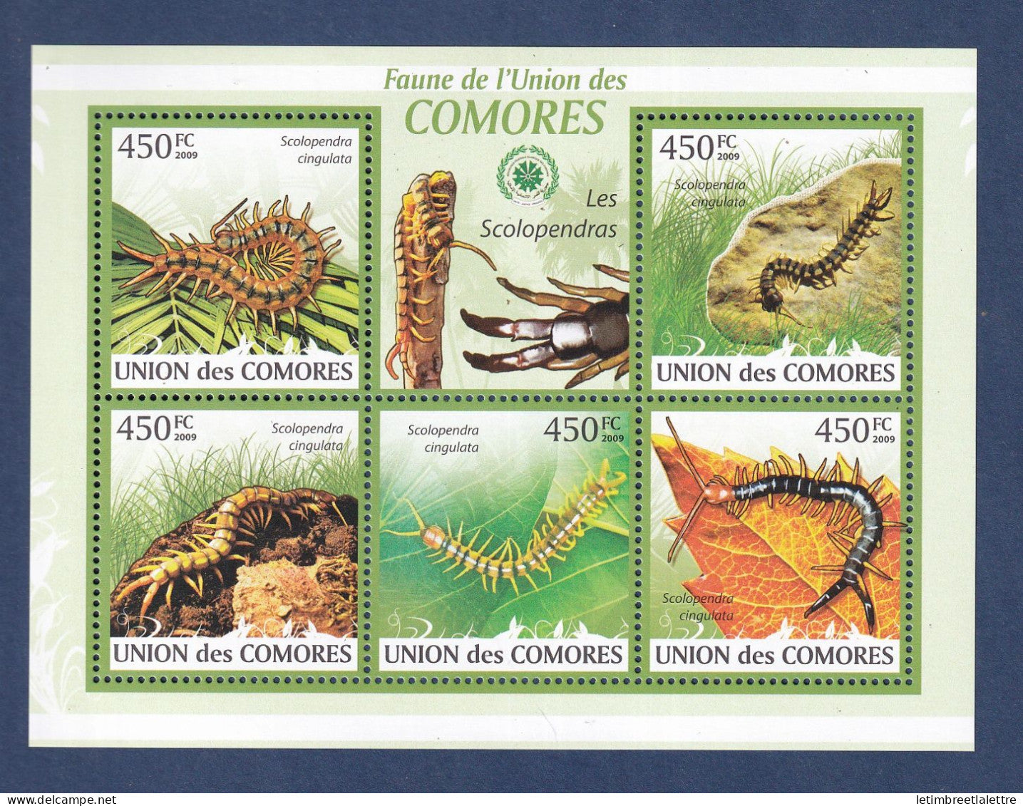 Comores - YT n° 1746 à 1750 ** - Neuf sans charnière - les scolopendras -  2009
