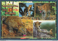 Ceylan Sri Lanka - carte postale - Faune Léopard