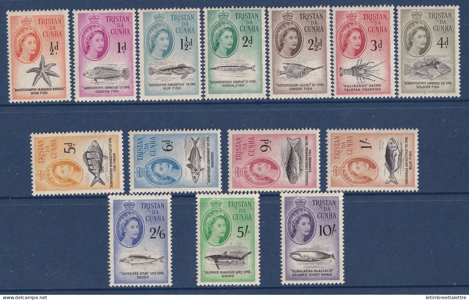Tristan da Cunha - YT n° 28 à 41 ** - Neuf sans charnière - Faune Maritime - 1960