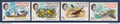 Tristan da Cunha - YT n° 116 à 119 ** - Neuf sans charnière - Oiseaux - 1963