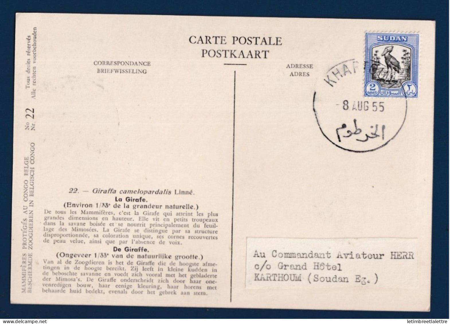 Soudan - Carte Maximum - La girafe - Oblitréré Khartoum - 1954